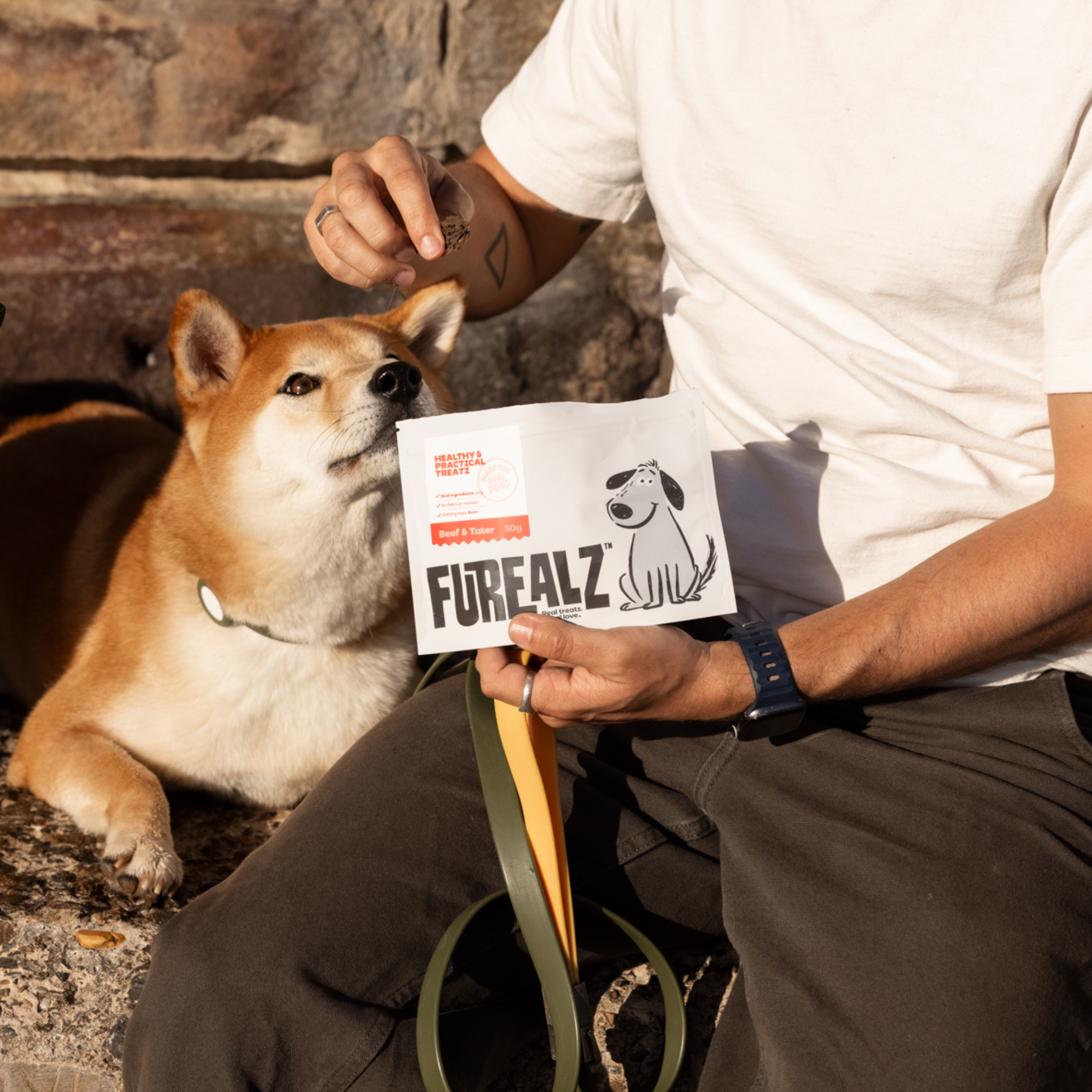 Beef & Tater - 50g bag