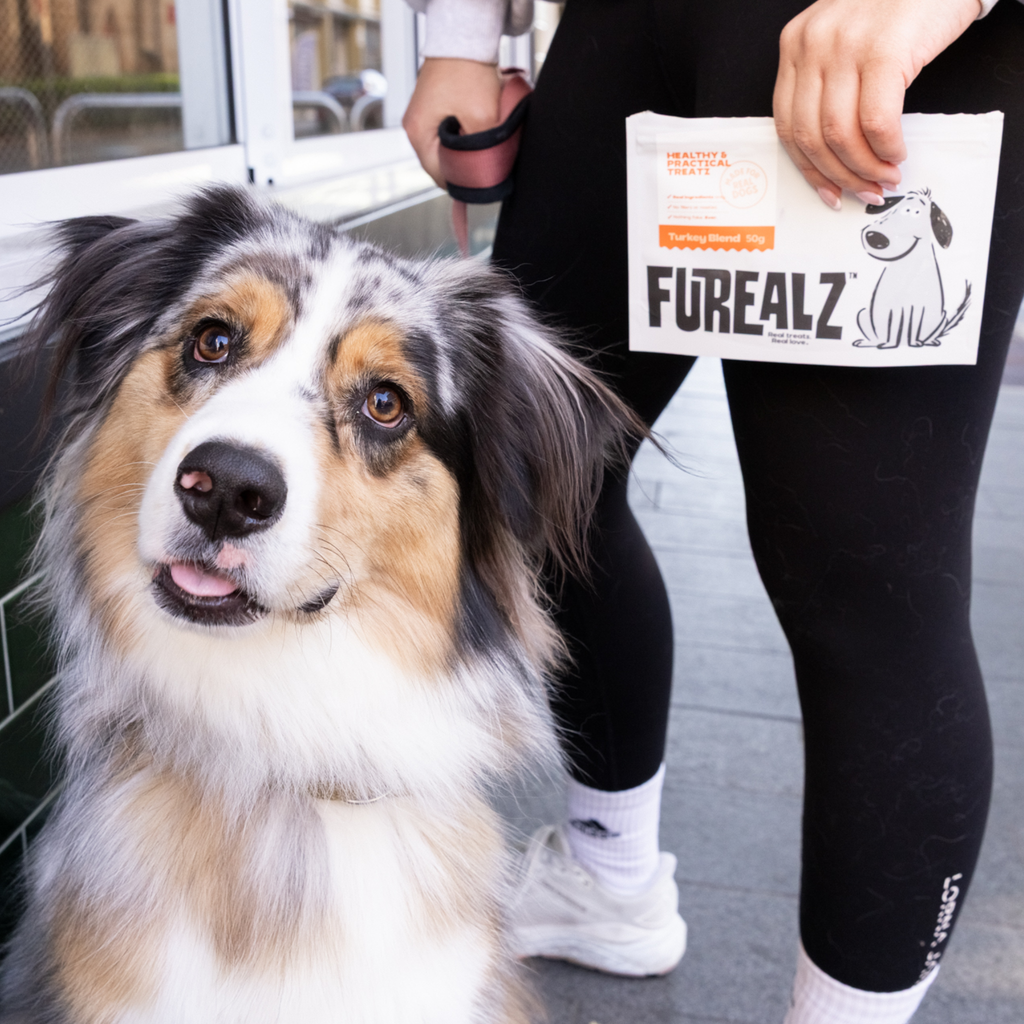 Turkey Blend - 50g bag